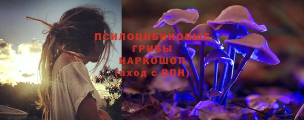 ALPHA PVP Гусев