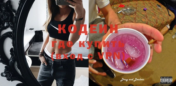 шишки Горно-Алтайск