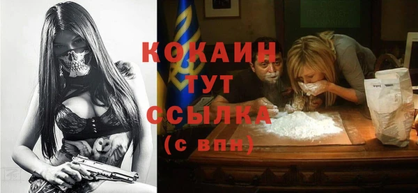 соль ск Гусь-Хрустальный